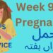 Ninth Week of Pregnancy | آپ کا حمل